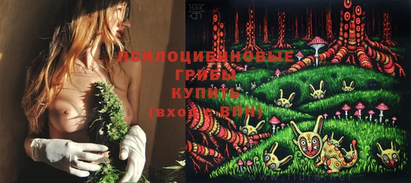 прущие крисы Армянск